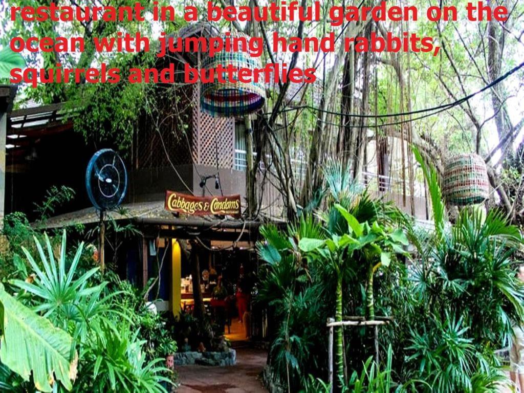 Двух-Комнатная Квартира В Кондоминимуме "Tropikal Garden" Pattaya Buitenkant foto